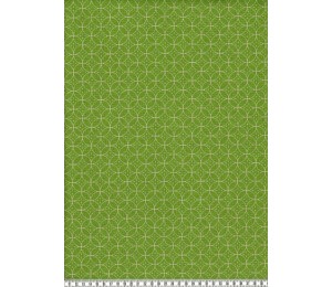 Dekostoff Canvas Anton lime